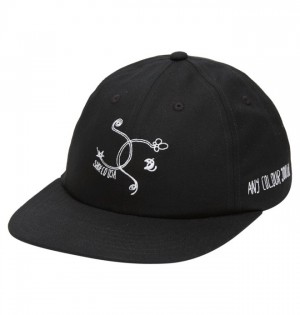 Palarie & Beanie DC Evan Smith Any Color Snapback Hat Barbati Negrii | AQJ1952